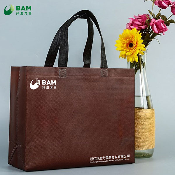 Non-woven Bags