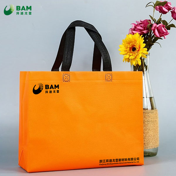 Non-woven Bags