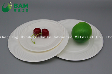 Fully Biodegradable Manufacture Disposable Eco-Friendly Compostable Sugarcane Corn Starch Takeaway Food Plate for Dessert Fruits Cake