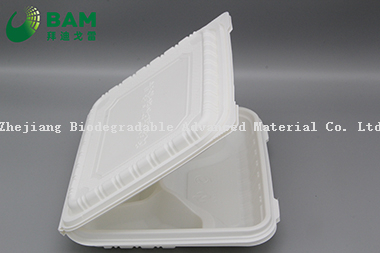 Fully Biodegradable Multi 4 Compartment Disposable Plastic Food Container Compostable Sugarcane Plant Fiber Take-Away Food Containers