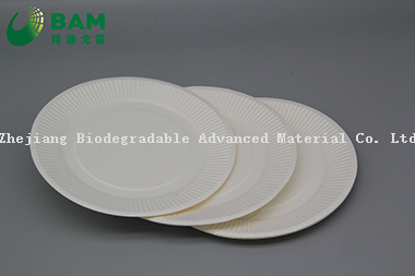 Fully Biodegradable Dividing Compostable Sugarcane Plant Fiber Bakery Takeaway Food Package Round Plate for Dessert Cake