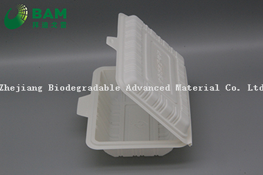 Fully Biodegradable Multi Compartment Disposable Plastic Food Container Compostable Plant Fiber Takw-Away Food Containers