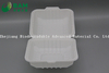 Fully Biodegradable Multi Compartment Disposable Plastic Food Container Compostable Sugarcane Plant Fiber Takw-Away Food Containers