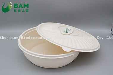 Food Grade Fully Biodegradable Compostable Disposable Sugarcane Plant Fiber Takeaway Canteen Food Bowl Container for Fruits Soup