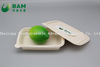 Fully Biodegradable Food Grade Disposable Compostable Sugarcane Plant Fiber Takeaway Food Packaging Containers for Salad