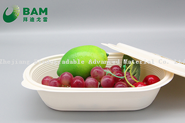 Food Grade Fully Biodegradable Compostable Sugarcane Cornstarch Plant Fiber Takeaway Canteen Food Containers for Salad Fast-Food