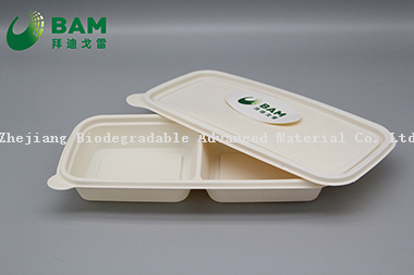 Fully Biodegradable Multi Compartment Disposable Plastic Food Container Compostable Sugarcane Plant Fiber Takw-Away Food Containers