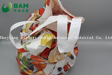 Sustainable Packing Biodegradable Printed Plastic Supermarket Fashion Shopping Garment Bags with Soft Loop Plastic Handle Tote Gift Bag T-Shirt Bags, Vest Bags