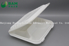 Fully Biodegradable Multi 4 Compartment Disposable Plastic Food Container Compostable Sugarcane Plant Fiber Take-Away Food Containers