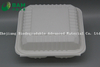 Fully Biodegradable Multi 3 Compartment Disposable Plastic Food Container Compostable Sugarcane Plant Fiber Take-Away Food Containers