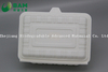 Fully Biodegradable Multi Compartment Disposable Plastic Food Container Compostable Plant Fiber Takw-Away Food Containers
