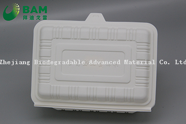 Fully Biodegradable Multi Compartment Disposable Plastic Food Container Compostable Plant Fiber Takw-Away Food Containers