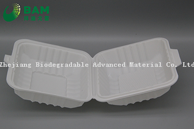 Fully Biodegradable Multi Compartment Disposable Plastic Food Container Compostable Sugarcane Plant Fiber Takw-Away Food Containers