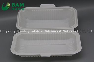 Fully Biodegradable Multi Compartment Disposable Plastic Food Container Compostable Sugarcane Plant Fiber Takw-Away Food Containers