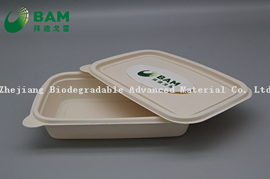 Fully Biodegradable Food Grade Disposable Compostable Sugarcane Plant Fiber Takeaway Food Packaging Containers for Salad