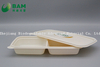 Fully Biodegradable Multi Compartment Disposable Plastic Food Container Compostable Sugarcane Plant Fiber Takw-Away Food Containers