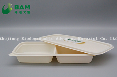 Fully Biodegradable Multi Compartment Disposable Plastic Food Container Compostable Sugarcane Plant Fiber Takw-Away Food Containers