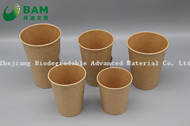 Biodegradable Convenient Compostable Disposable Food Containers Soup Bowls Hot Soup Plastic Paper Cup for Coffee Drink Juice
