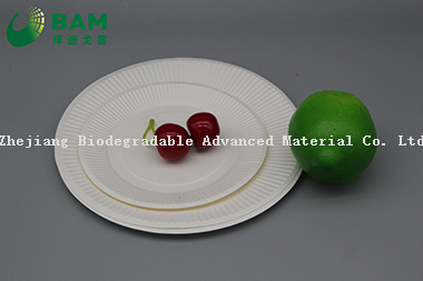 Fully Biodegradable Manufacture Disposable Eco-Friendly Compostable Sugarcane Corn Starch Takeaway Food Plate for Dessert Fruits Cake