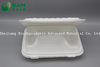 Fully Biodegradable Multi 4 Compartment Disposable Plastic Food Container Compostable Sugarcane Plant Fiber Take-Away Food Containers
