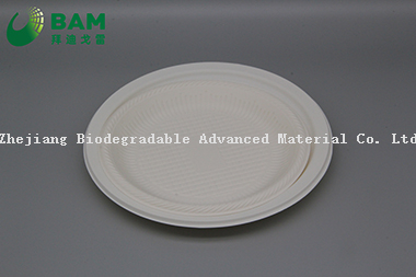 Fully Biodegradable Dividing Compostable Sugarcane Round Plant Fiber Bakery Takeaway Food Package Round Plate for Dessert Cake