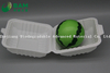 Fully Biodegradable Multi Compartment Disposable Plastic Food Container Compostable Sugarcane Plant Fiber Takw-Away Food Containers