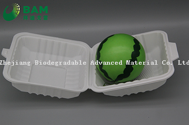 Fully Biodegradable Multi Compartment Disposable Plastic Food Container Compostable Sugarcane Plant Fiber Takw-Away Food Containers