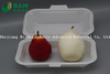 Fully Biodegradable Multi Compartment Disposable Plastic Food Container Compostable Sugarcane Plant Fiber Takw-Away Food Containers