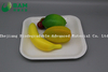 Fully Biodegradable Dividing Compostable Sugarcane Plant Fiber Bakery Takeaway Food Package Square Plate for Dessert Cake