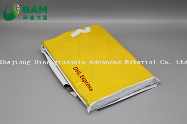 Sustainable Disposable Packing Biodegradable Color Plastic Items Apparel Packaging Custom Printed Poly Mailer Postage Courier Bags Shipping Envelopes