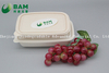 Fully Biodegradable Food Grade Disposable Compostable Sugarcane Plant Fiber Takeaway Food Packaging Containers for Salad