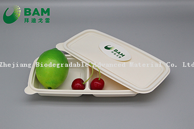 Fully Biodegradable Multi Compartment Disposable Plastic Food Container Compostable Sugarcane Plant Fiber Takw-Away Food Containers