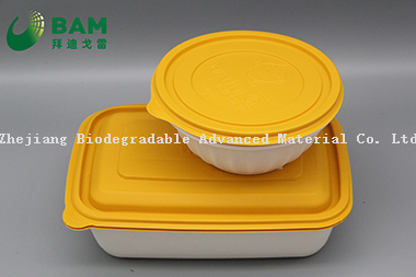 Food Grade Fully 100% Biodegradable Compostable Sugarcane Plant Fiber Takeaway Food Containers for Camping
