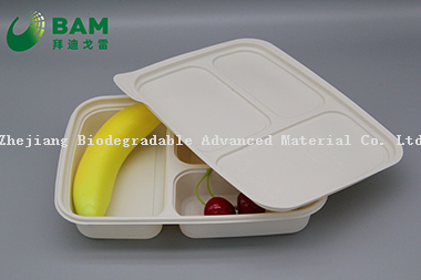 100% Biodegradable 3 Compartment Disposable Compostable Corn Starch Takeaway Canteen Food Containers for Fast-Food