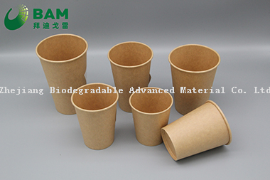 Biodegradable Convenient Compostable Disposable Food Containers Soup Bowls Hot Soup Plastic Paper Cup for Coffee Drink Juice