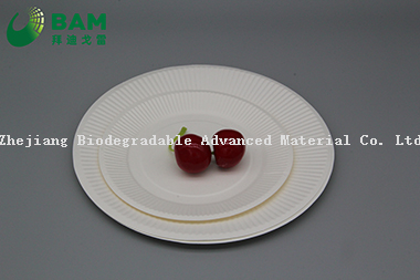 Fully Biodegradable Manufacture Disposable Eco-Friendly Compostable Sugarcane Corn Starch Takeaway Food Plate for Dessert Fruits Cake