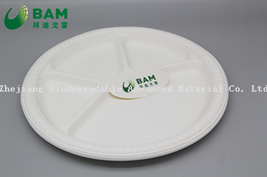 Fully Biodegradable Dividing 4 Compartment Compostable Sugarcane Plant Fiber Bakery Takeaway Food Package Round Plate for Dessert Cake