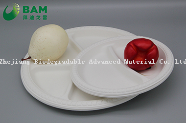 Fully Biodegradable Dividing 2 Compartment Compostable Sugarcane Plant Fiber Bakery Takeaway Food Package Round Plate for Dessert Cake