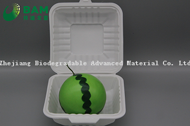 Fully Biodegradable Multi Compartment Disposable Plastic Food Container Compostable Sugarcane Plant Fiber Takw-Away Food Containers