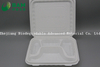 Fully Biodegradable Multi 4 Compartment Disposable Plastic Food Container Compostable Sugarcane Plant Fiber Take-Away Food Containers