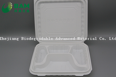 Fully Biodegradable Multi 4 Compartment Disposable Plastic Food Container Compostable Sugarcane Plant Fiber Take-Away Food Containers