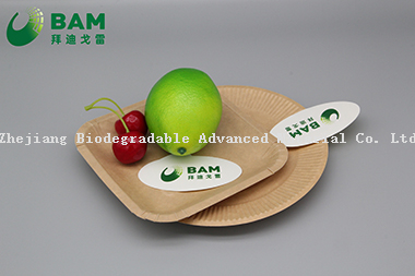 Fully Biodegradable Dividing Compostable Sugarcane Plant Fiber Bakery Takeaway Food Package Square Plate for Cake