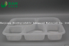 Fully Biodegradable 5 Compartment Compostable Sugarcane Plant Fiber Canteen Takeaway Food Containers for Fast-Food