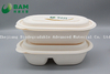 Food Grade Fully Biodegradable Compostable Sugarcane Cornstarch Plant Fiber Takeaway Canteen Food Containers for Salad Fast-Food