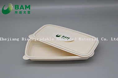 Fully Biodegradable Food Grade Disposable Compostable Sugarcane Plant Fiber Takeaway Food Packaging Containers for Pancake