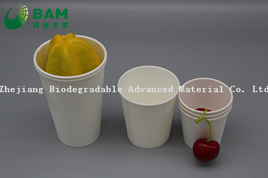 Biodegradable Convenient Compostable Disposable Food Containers Soup Bowls Hot Soup Plastic Paper Cup for Coffee Drink Juice