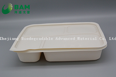 100% Biodegradable 4 Compartment Disposable Compostable Corn Starch Takeaway Canteen Food Containers for Fast-Food