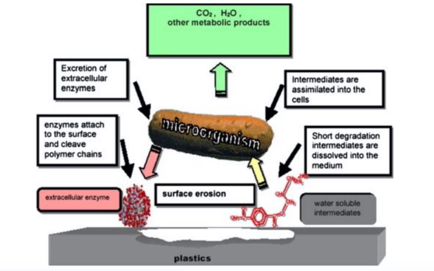 3D Printing with Bioplastics: Engineering Biodegradable PHA Blends