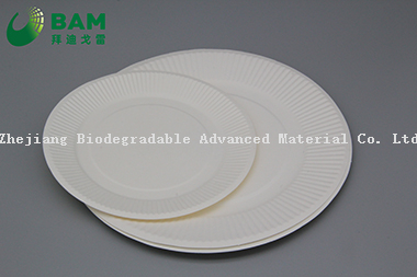 Fully Biodegradable Manufacture Disposable Eco-Friendly Compostable Sugarcane Corn Starch Takeaway Food Plate for Dessert Fruits Cake