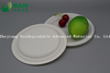 Fully Biodegradable Dividing Compostable Sugarcane Round Plant Fiber Bakery Takeaway Food Package Round Plate for Dessert Cake
